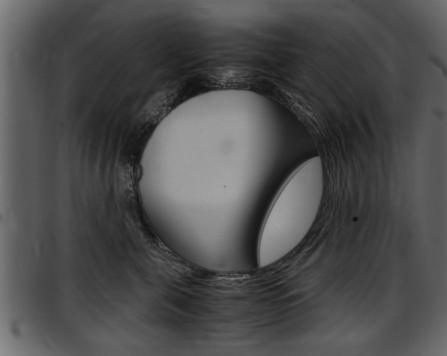 X0000097600571200802290735