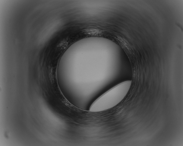 X0000097600572200802290735