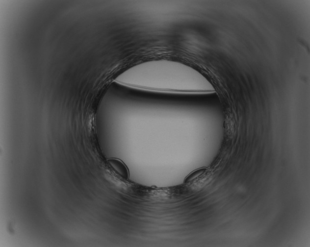 X0000097600574200802290735