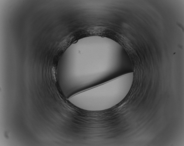 X0000097600575200802290735