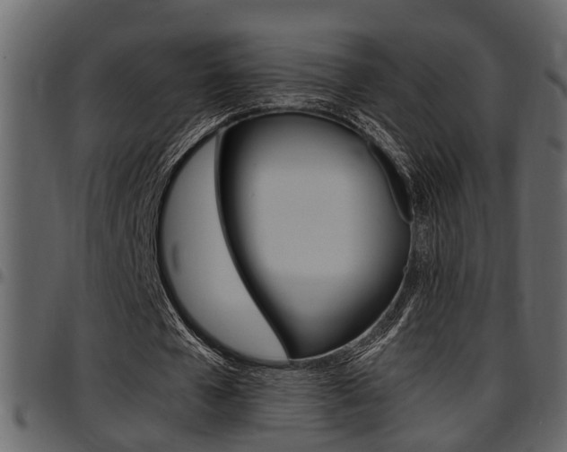 X0000097600577200802290734