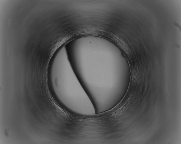 X0000097600578200802290734