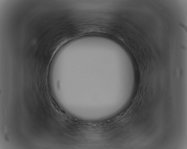 X0000097600579200802290734