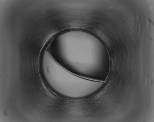 X0000097600580200802290734