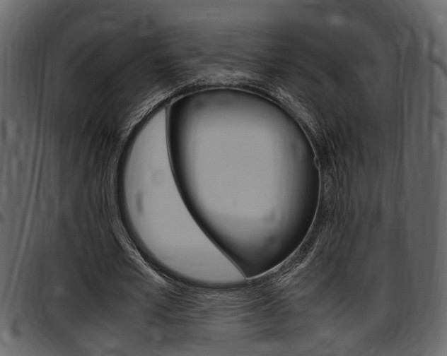 X0000097600581200802290734