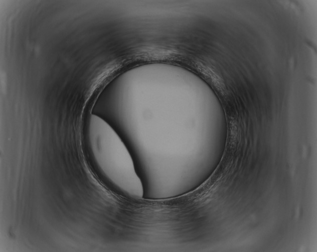 X0000097600582200802290734