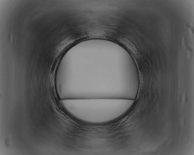 X0000097600583200802290734
