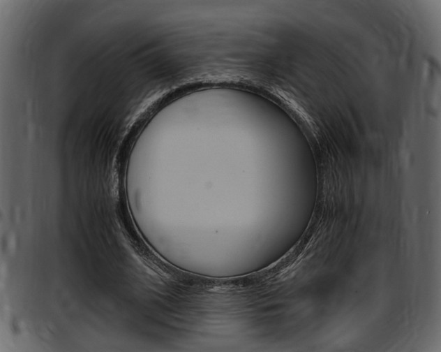X0000097600584200802290734