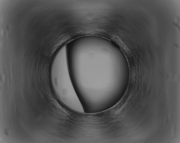 X0000097600585200802290734