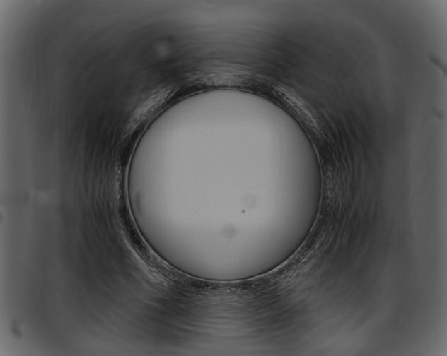 X0000097600586200802290734