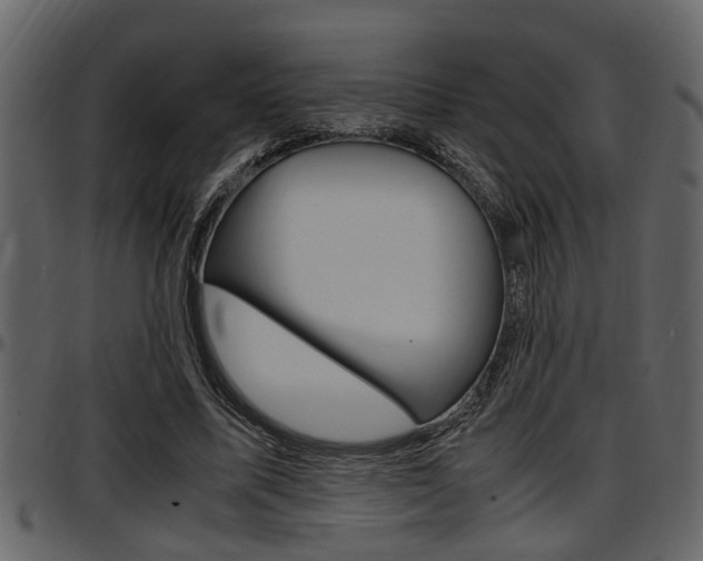 X0000097600587200802290734