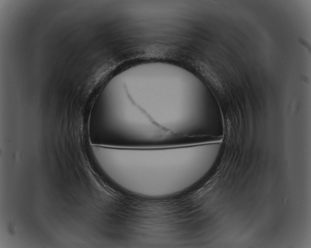 X0000097600588200802290734