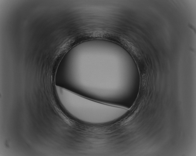 X0000097600589200802290734