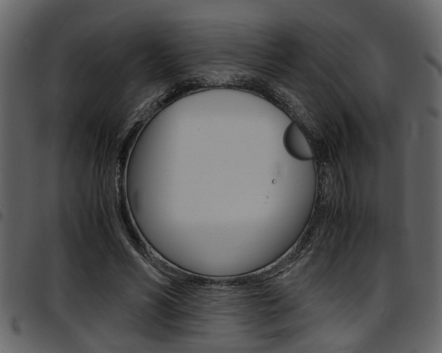 X0000097600590200802290734