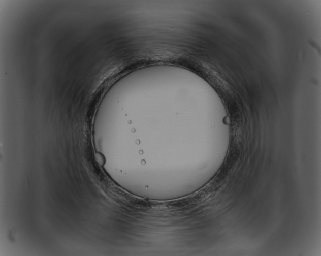 X0000097600591200802290734