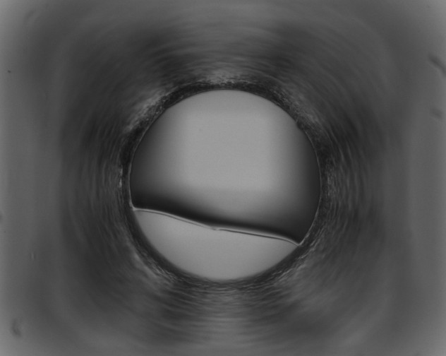 X0000097600592200802290734