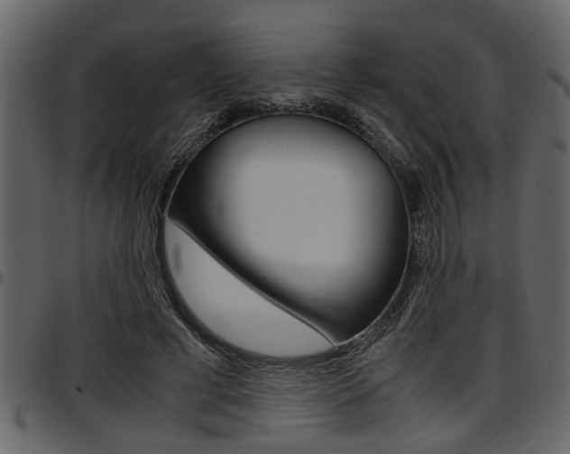 X0000097600593200802290734