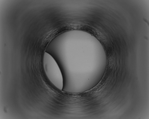 X0000097600594200802290734