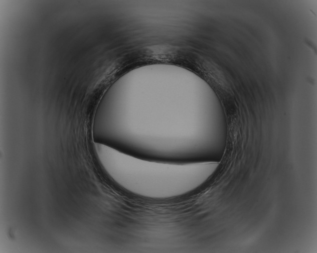 X0000097600595200802290734