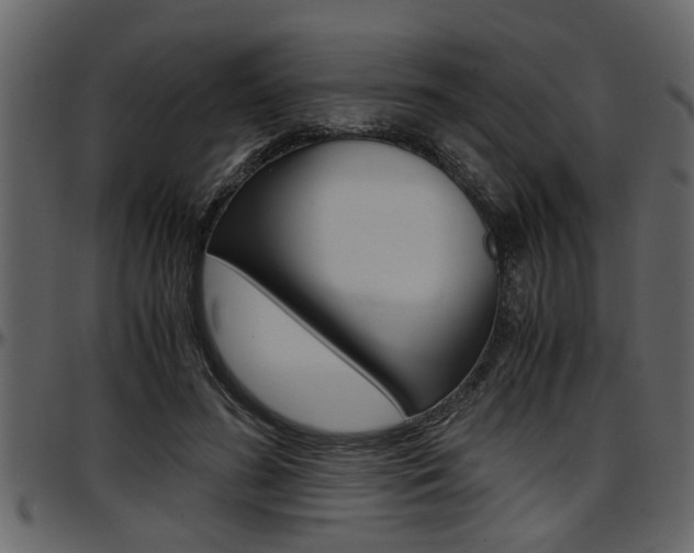 X0000097600596200802290734