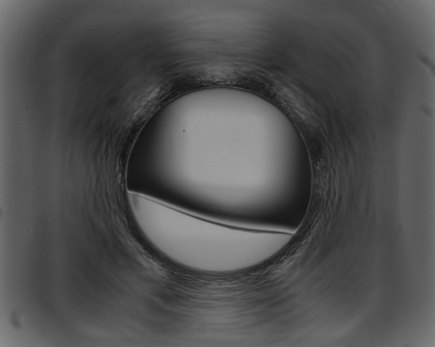 X0000097600597200802290734