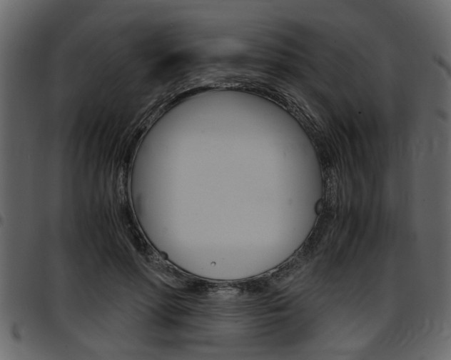 X0000097600598200802290734