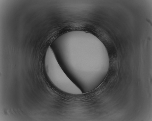 X0000097600599200802290734