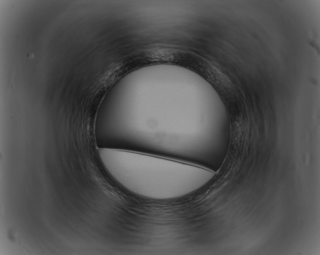 X0000097600600200802290734
