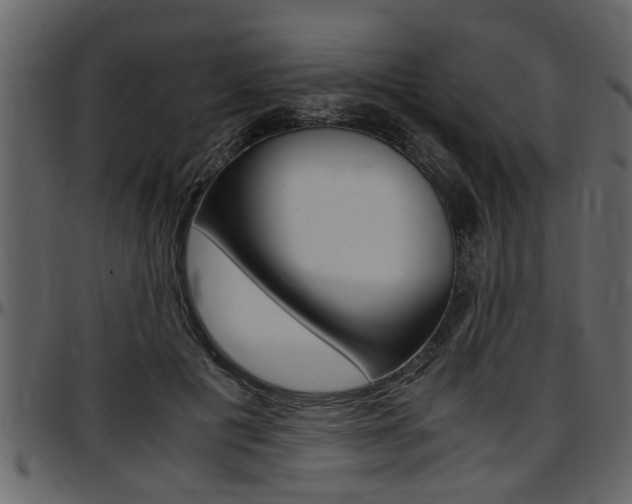 X0000097600601200802290734