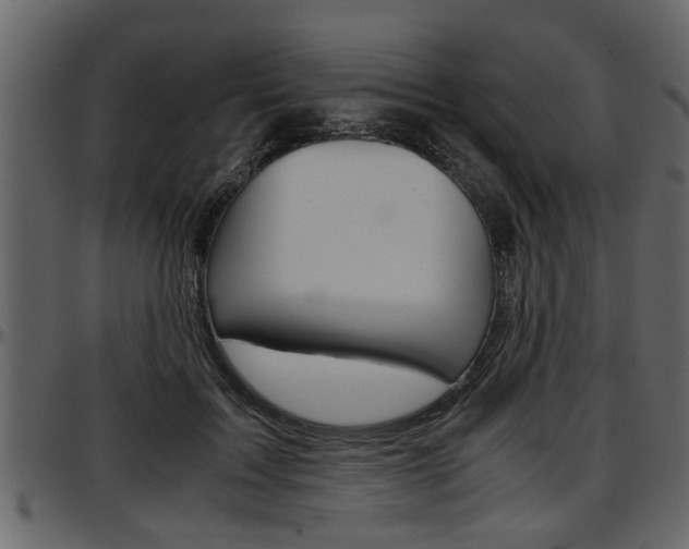 X0000097600603200802290734