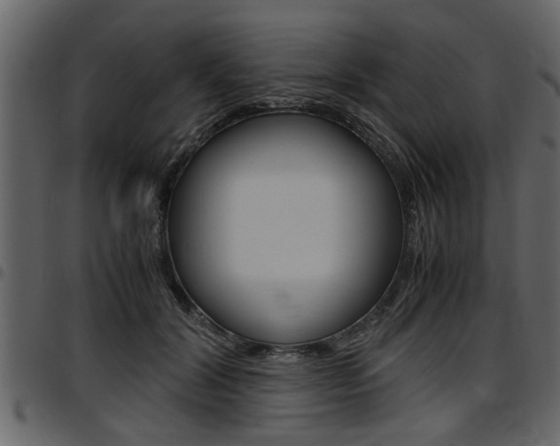 X0000097600604200802290734