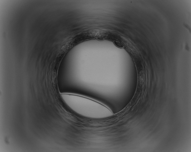 X0000097600605200802290734