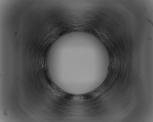 X0000097600606200802290734