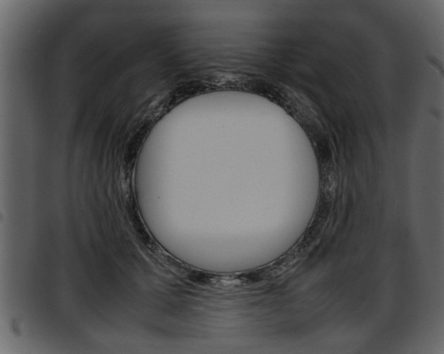 X0000097600607200802290734