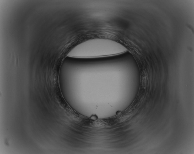 X0000097600608200802290734