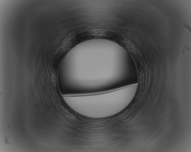 X0000097600609200802290734