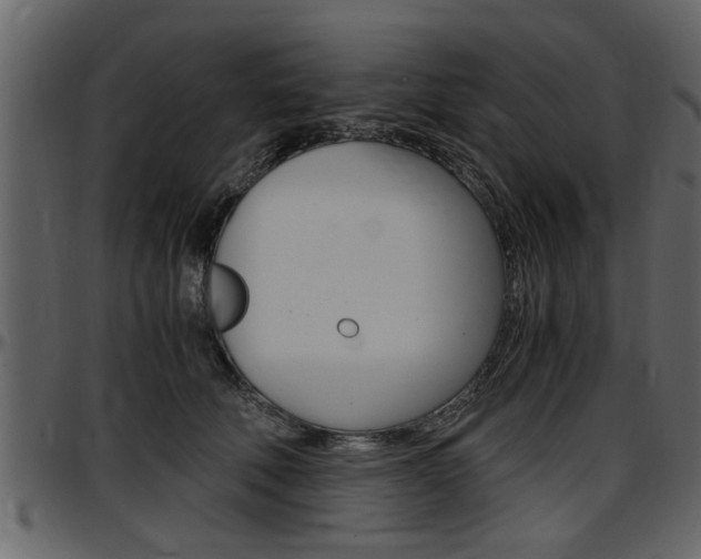 X0000097600610200802290734