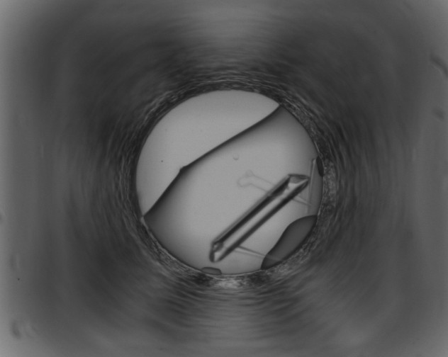 X0000097600611200802290734