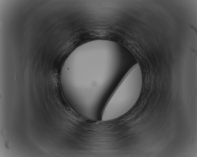 X0000097600612200802290734