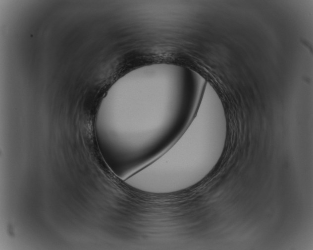 X0000097600613200802290733