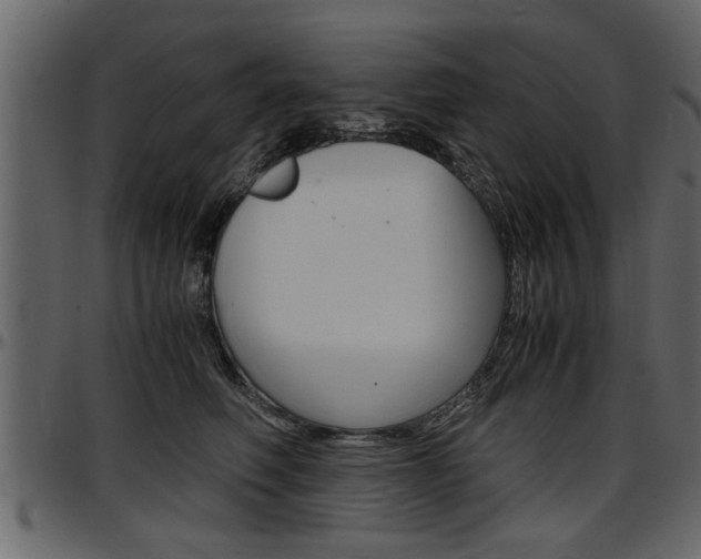 X0000097600614200802290733