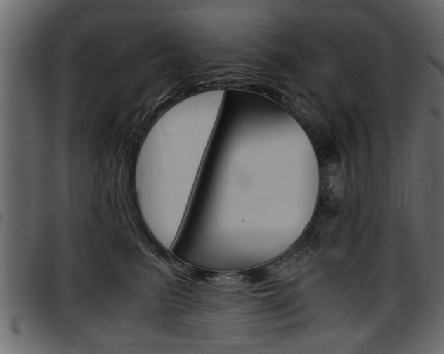 X0000097600615200802290733
