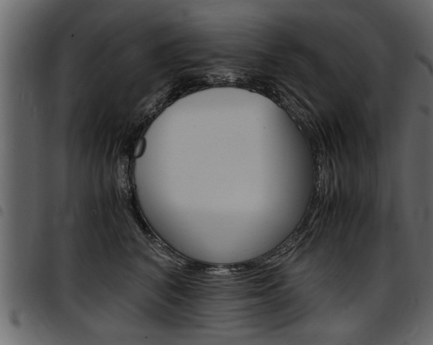 X0000097600616200802290733