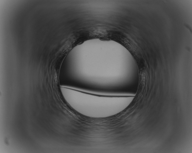 X0000097600617200802290733