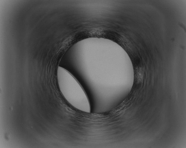 X0000097600619200802290733