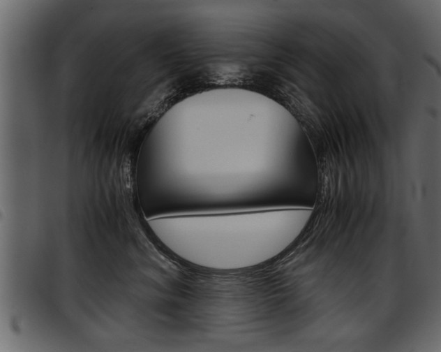 X0000097600620200802290733