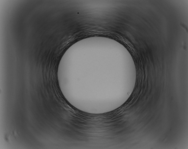 X0000097600621200802290733