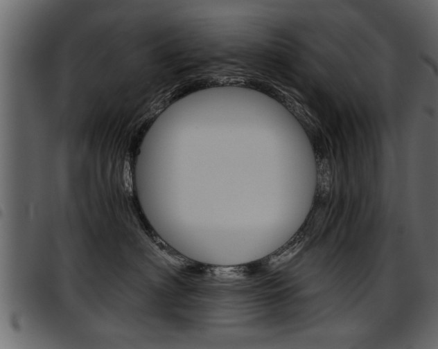 X0000097600622200802290733