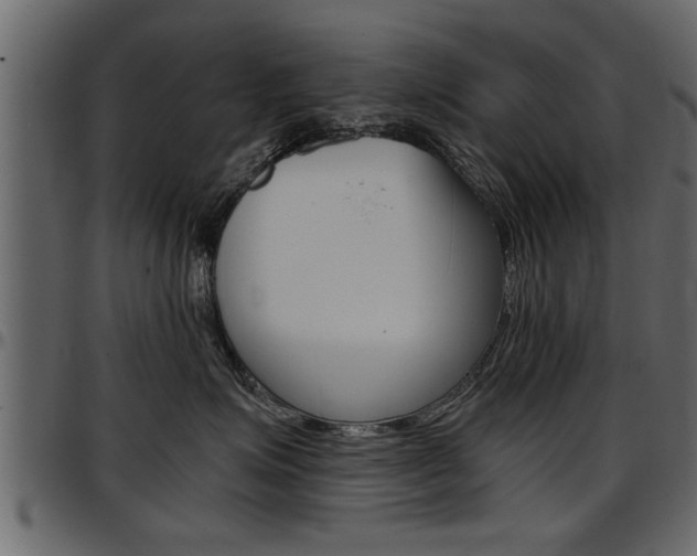 X0000097600623200802290733