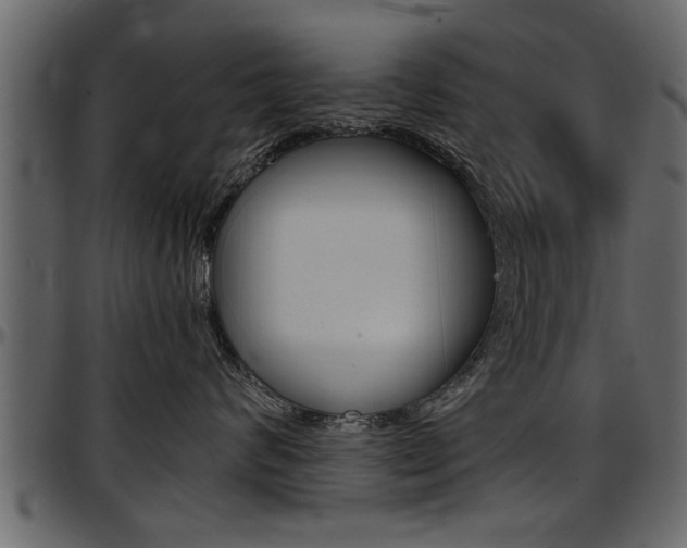 X0000097600624200802290733